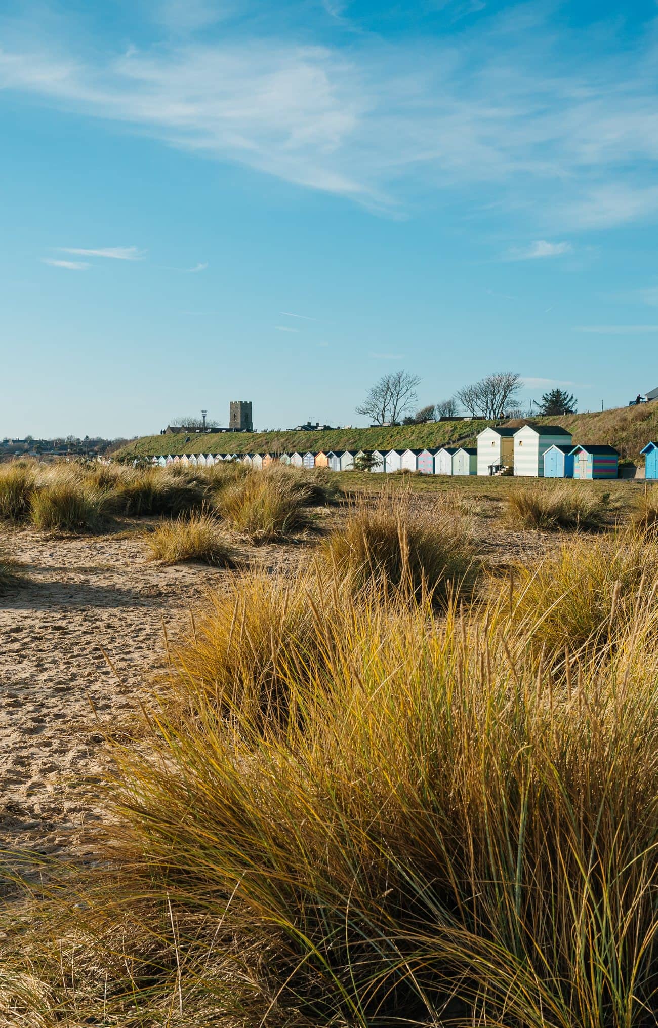 Marram grass on the dunes above the beach, with a church tower inland
