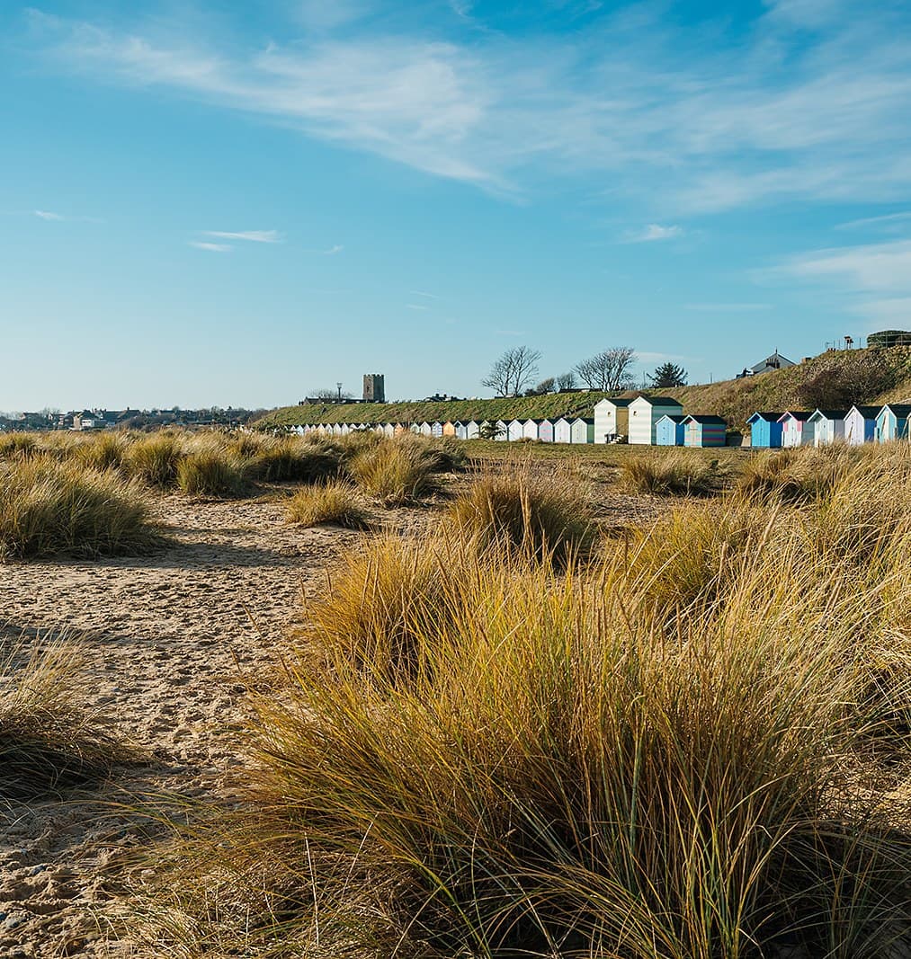 Marram grass on the dunes above the beach, with a church tower inland