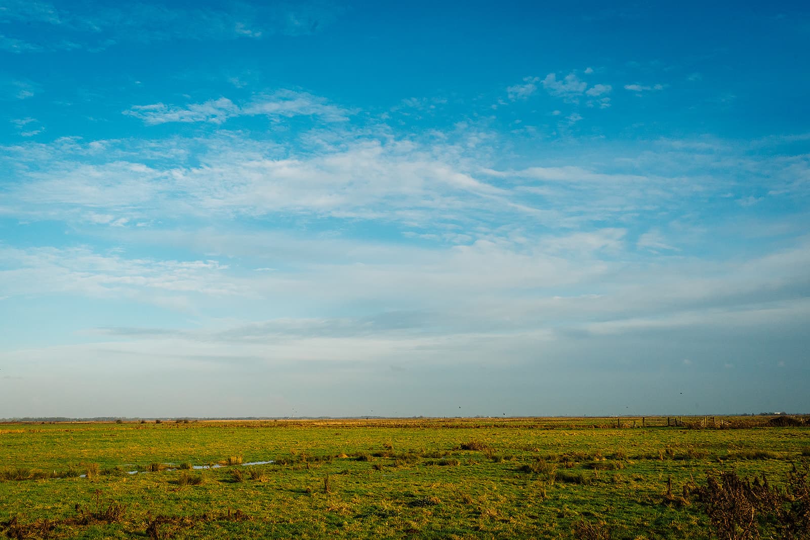 Open farmland in the Suffolk countryside