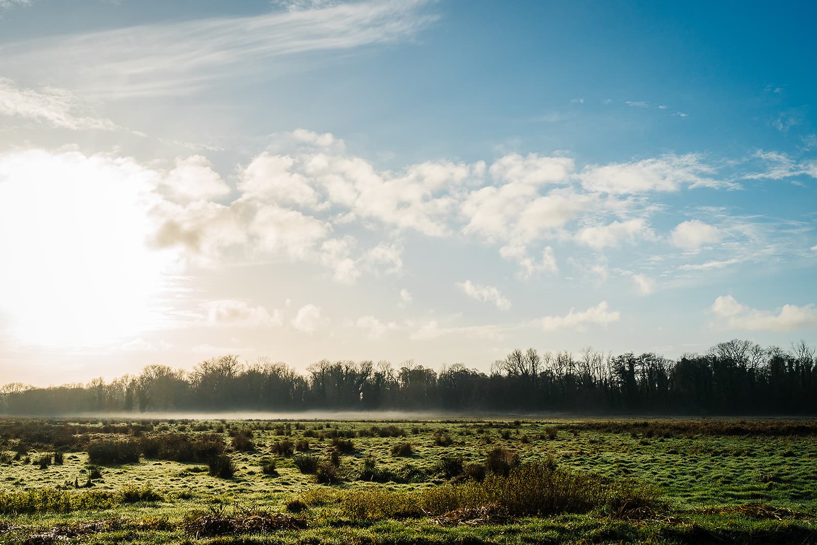 Misty farmland in the Suffolk countryside